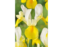 9,13���. ���� ����. �������(���������� ������ ������ ���������� �� 10 ��.)���15.jpg