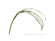 4606500502172 ����� ������������� ��� ������������� , 130�� 96 772,8.jpg