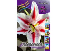 40,6���. ����� ������(�������� ���� �� 5 ��., ����������� ����� 1��.).jpg