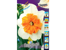 17,56���. ������� ��������(��� 10 ��. ���������� ������ 5��.).jpg