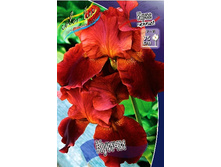 91,55���. ���� ���������� �����(�������� ���� �� 2 ��., ����������� ����� 1��.).jpg