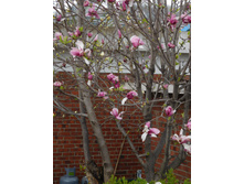 DSCN0574.JPG