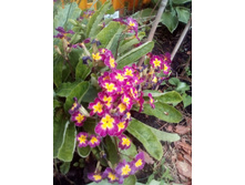 IMG 20160528 121313.jpg