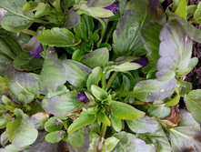 IMG 20160416 135946.jpg