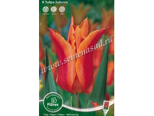 ������� ��������.jpg