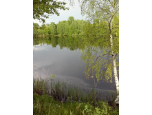 IMG 20160523 175348.jpg