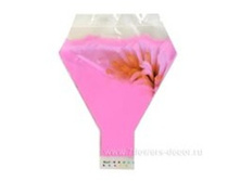 8717654941833 ����� ����� Av. Attraction 50�42�12�� (50��) 999 769,00.jpg