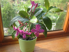 ���������������