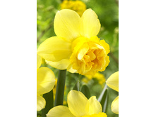 42,21���. ������� ������(�������� ���� �� 7 ��., ����������� ����� 1��.)���16.jpg