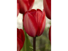 14���. ������� ��� ��������(���������� ������ ������ ���������� �� 10 ��.)���16.jpg