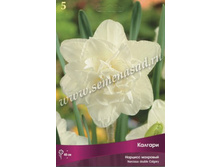 ������� �������.jpg