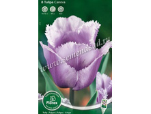 ������� ������.jpg