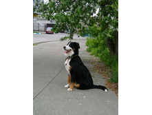 IMG 20160516 181650.jpg