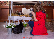 6151034 ��� �����.jpg