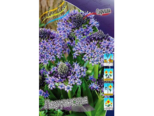 131,8���. ������ ����������(�������� ���� �� 2 ��., ����������� ����� 1��.).jpg