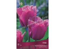 ������� ����.jpg