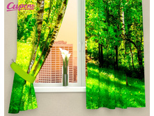 02631 ��������� "������ ������ ����"