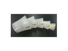 ������ “����” 5 �. ���� ����������-����������