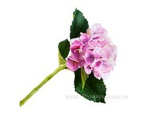 3760169244987 ������ ������������� ���������, 50�� 72 466,9.jpg