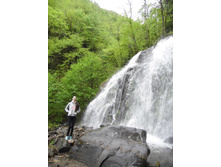 �������� ��������