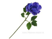 4606500501977 ������ ������������� ������, 41�� 192 162,15.jpg