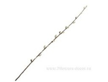 4606500502585 ����� ������������� �����, 102�� 144 281,75.jpg