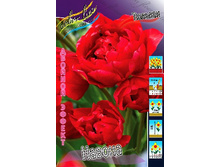 21,3���. ������� ������(��� 10 ��. ���������� ������ 5��.).jpg