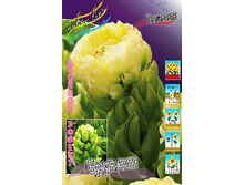 29,63���. ������� �������(��� 6 ��. ���������� ������ 3 ��.).jpg