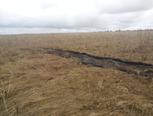 IMG 20160423 145903.jpg