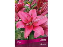 ����� ������.jpg