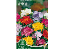 ������ �������� ����� �������.jpg