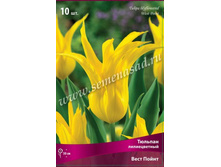 ������� ���� �����.jpg