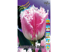 22,24���. ������� ���� ��� ���(��� 10 ��. ���������� ������ 5��.).jpg