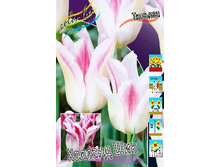 17���. ������� ������� ���(��� 10 ��. ���������� ������ 5��.).jpg