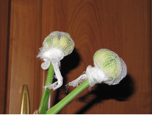 ��� ������ ������ ������. ���� � ������ ������� �� �����������, ��� �������))).