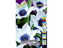 91,32���. ������� ����� �������� �������(�������� ���� �� 5 ��., ����������� ����� 1��.).jpg