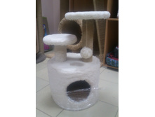 �� 895 ��� (60��) �������� ���������� "���"