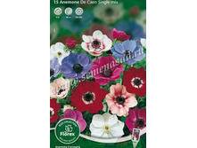 ������� �� ����.jpg