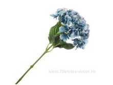 3661864017893 ������ ������������� ���������, 79c� 48 618,7.jpg