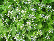 IMG 4758.JPG