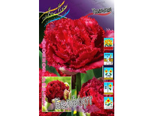 36,29���. ������� �������(��� 10 ��. ���������� ������ 5��.).jpg