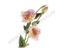 3760169247100 ������ ������������� ���������, 63�� 144 430,1.jpg