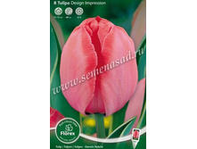 ������� ������ �������.jpg