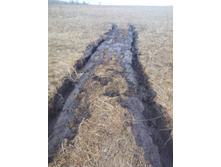 IMG 20160423 150556.jpg