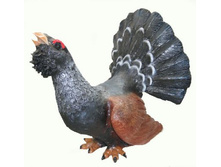 ������� (�������)