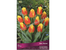 ������� ��� �����.jpg