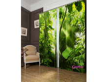 00029. ��������� "����������� ���"