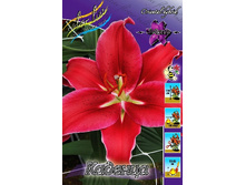 37���. ����� �������(��� 5 ��. ���������� ������ 2 ��� 3 ��.)���15.jpg