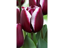 17,18���. ������� ���������(��� 10 ��. ���������� ������ 5��.).jpg