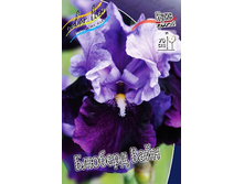 91,55���. ���� ���������� ������� ����(�������� ���� �� 2 ��., ����������� ����� 1��.).jpg